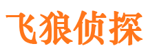 卢湾找人公司